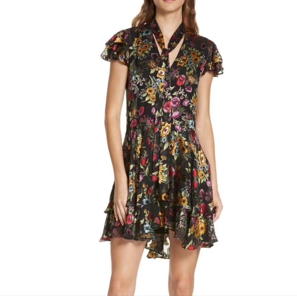 Alice + Olivia Moore Velvet Devore Silk Floral Dress Whimsigoth Size 2